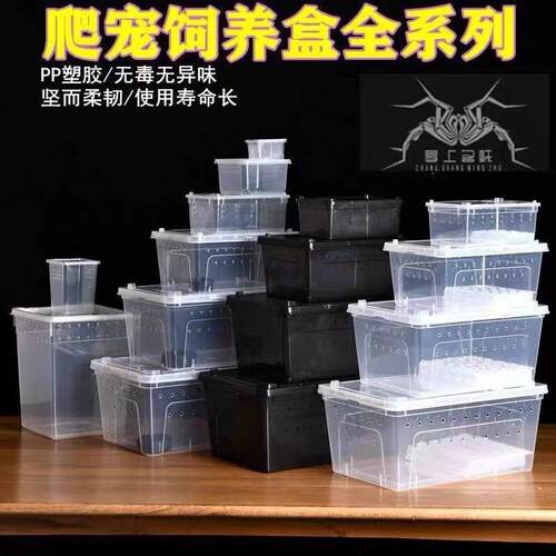 爬宠饲养盒蜗牛蜘蛛角蛙乌龟两栖爬虫饲养箱蟋蟀蟑螂面包虫蝾螈蟹
