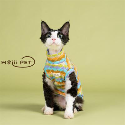 HOiii PET 秋冬彩色毛衣背心德文猫衣服无毛猫保暖加厚潮流针织衫