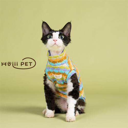 HOiii PET 秋冬彩色毛衣背心德文猫衣服无毛猫保暖加厚潮流针织衫