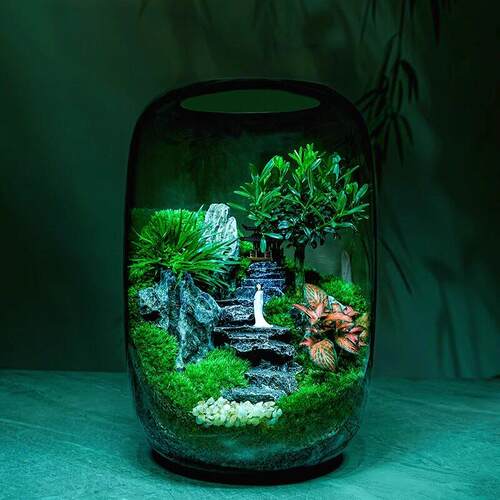 苔藓微景观生态瓶造景植物桌面创意小摆件悟空森林绿植雨林生态缸