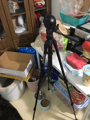 NOLOCV1VR眼镜怎么样，为什么如此火爆?