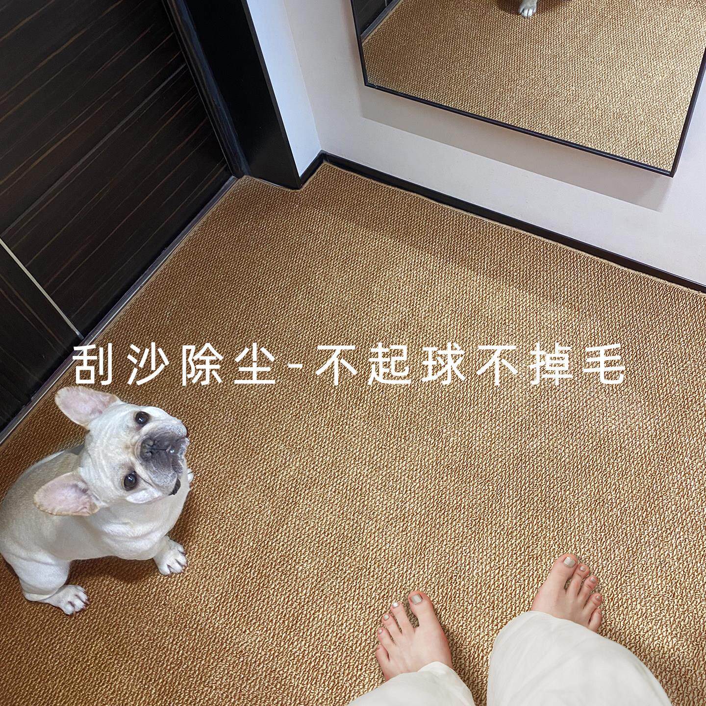 彷剑麻入户门地垫高级可裁剪定制可机洗地毯新款防滑门口进门脚垫