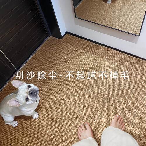 彷剑麻入户门地垫高级可裁剪定制可机洗地毯新款防滑门口进门脚垫