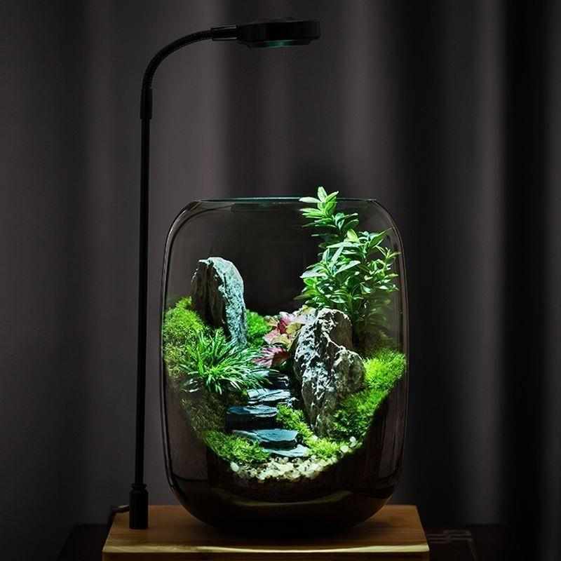 缸玻璃养鱼盆景办公室造景微景观生态瓶苔藓装饰摆件植物盆栽桌面