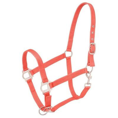 2025工厂马笼头尼龙织带多种颜色可选马术用品Halter