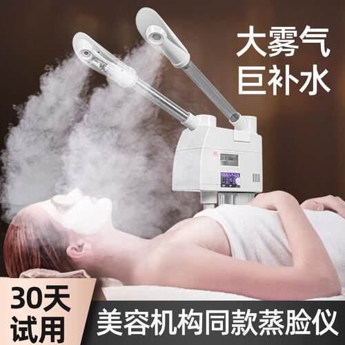 泰东冷热喷雾机热喷仪美容院专用家面部蒸汽保湿冷热双喷蒸脸仪器