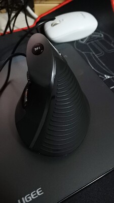 很关注多彩有线鼠标怎么样，新手必看内情