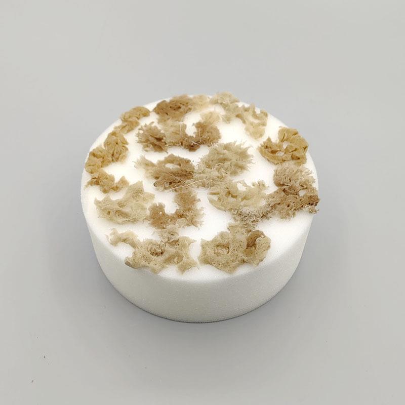 新款天然海藻绵装饰三色珠光点彩幻彩水性金属木器漆艺术涂料工具