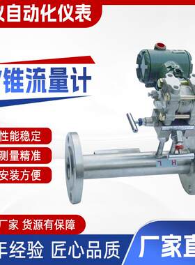 差压式V锥流量计煤气烟气节流装置沼气高压流量传感器