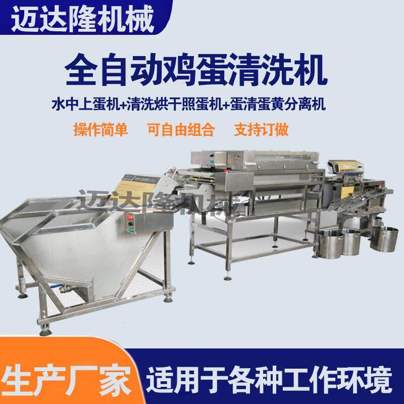 小型排洗蛋机烘干机鸡蛋鸭蛋清洗设备白粉壳野鸡蛋鸭蛋清洗风干