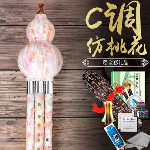 正品芦丝民葫族乐器初学人者学生成童儿入门专业演奏降B调C调胶木