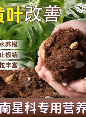 高品质天南星科专用土龟背竹专用土透气疏松种植土天南星科专用土