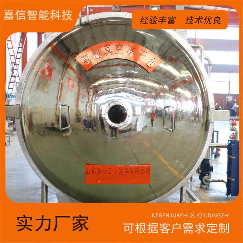 果茶真空冻干机青桔商用冻干机水果蔬菜真空冷冻干燥机