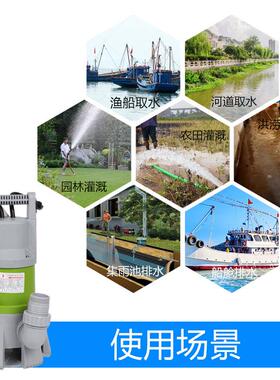 j8水泵抽水泵耐腐V船用潜水泵自YGV2动2污0小型家用塑料海水排g3