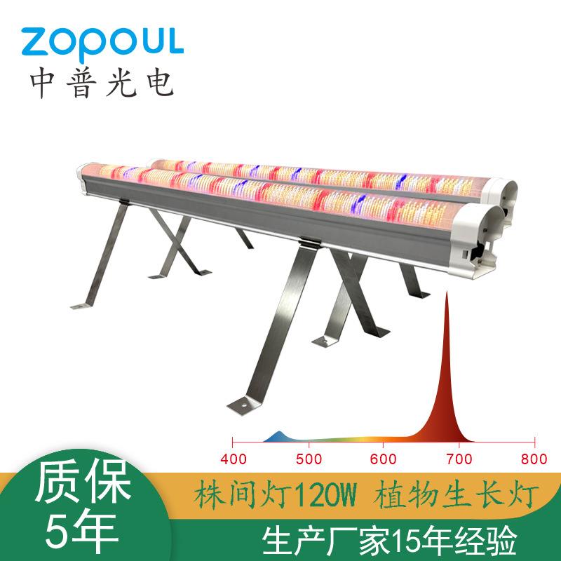 跨境全光谱LED植物灯树下灯种植大棚育苗增产底部补光UnderCanopy