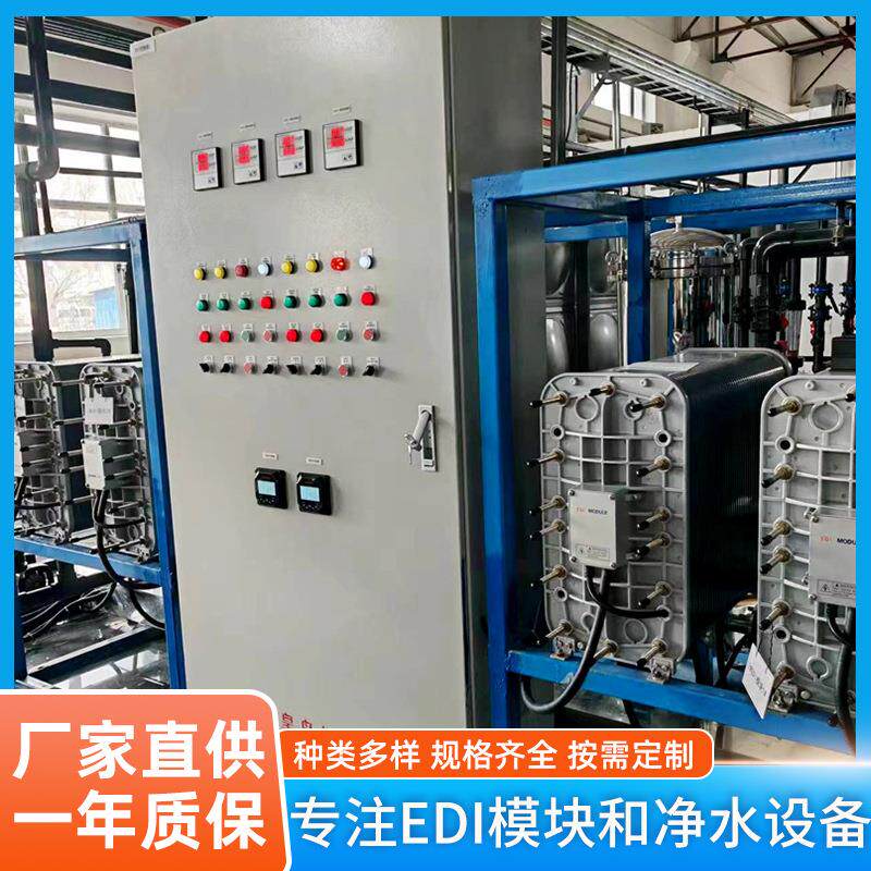 20-30T/hEDI模块连续电除盐反渗透纯水设备RO超纯水处理设备