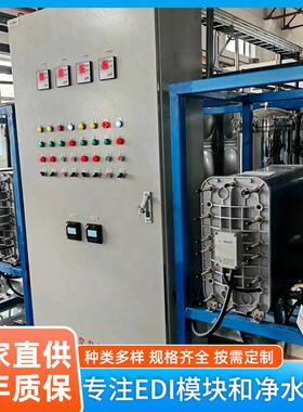 20-0T/hEDI模块连续电除盐反渗透纯水设备RO超纯水处理设备