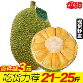 海南三亚黄肉菠萝蜜新鲜水果当季一整个木波罗蜜40-20斤特产