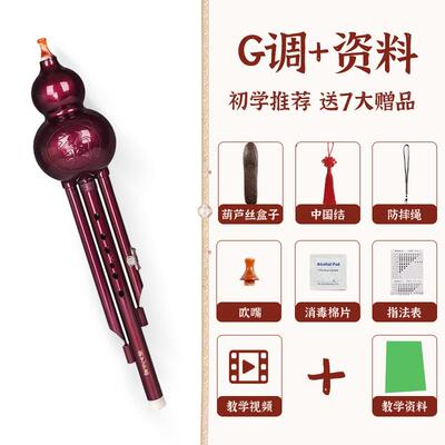 高档艺 ABS闪紫胶新木葫芦丝乐器c调降b儿调光学生成人童初学入门