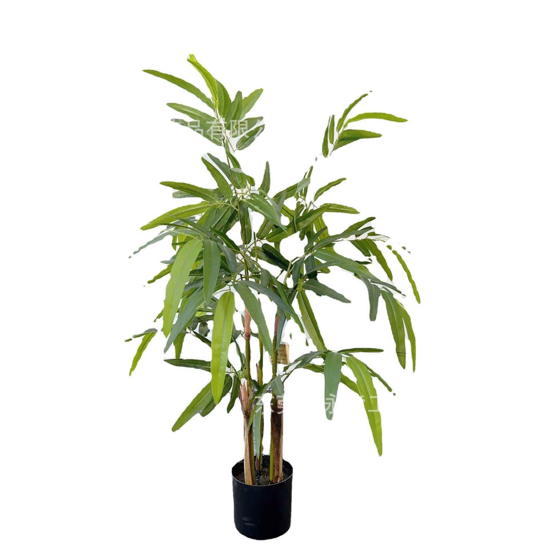 仿真竹葵酒店公司开业常绿假绿植装饰人造凤尾葵盆栽装饰仿真竹葵