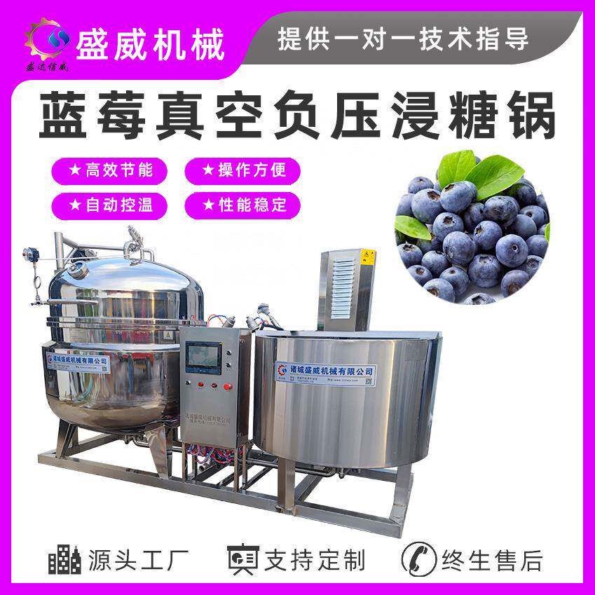 大型蓝莓树莓浸糖设备桃杏真空浸糖机商用草莓浸糖锅盛威