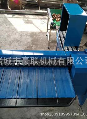 鸡蛋分级机 每小时5400枚 蛋品行业分拣鸡蛋大小机 精准度高