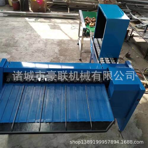 鸡蛋分级机 每小时5400枚 蛋品行业分拣鸡蛋大小机 精准度高