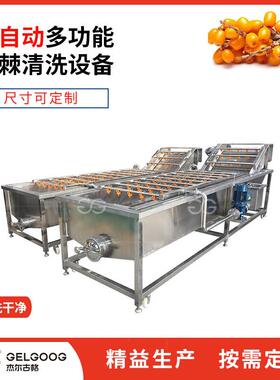 杰尔古格全自动沙棘清洗设备不锈钢鼓泡式清洗机沙棘清洗机器