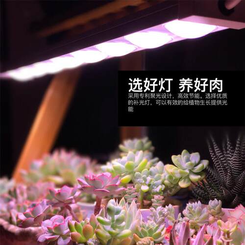 科瑞全光谱LED植物生长灯 钢材质多肉补光灯适用室内雨林缸盆栽