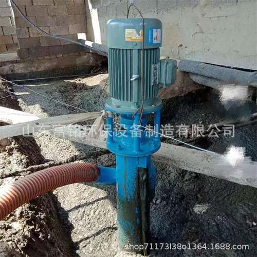 无堵塞立式绞龙抽粪泵厂家供应螺旋鸡粪猪粪