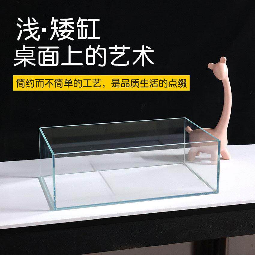 超白桌面缸苔藓缸家用超矮乌龟缸长方形浅低设计水培植物展示缸