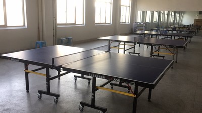 揭秘吐槽双鱼乒乓球桌怎么样有人刚入手又退掉为何?