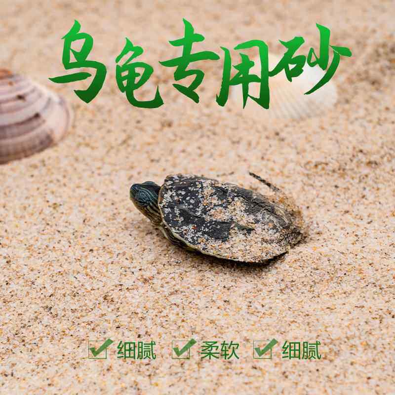 海沙天然细沙儿童玩具沙滩沙子鱼缸造景细沙子天然沙乌龟专用冬眠
