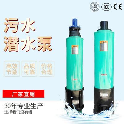 WQS潜水排污泵下吸式污水泵工业废水排污泵三相污水污物潜水电泵