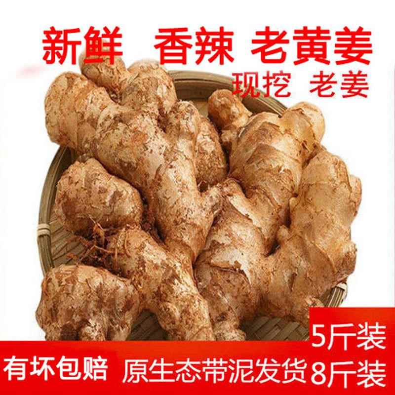 四川老姜8斤5生姜新鲜现挖老黄姜大黄姜月子姜土姜老姜母小黄姜10