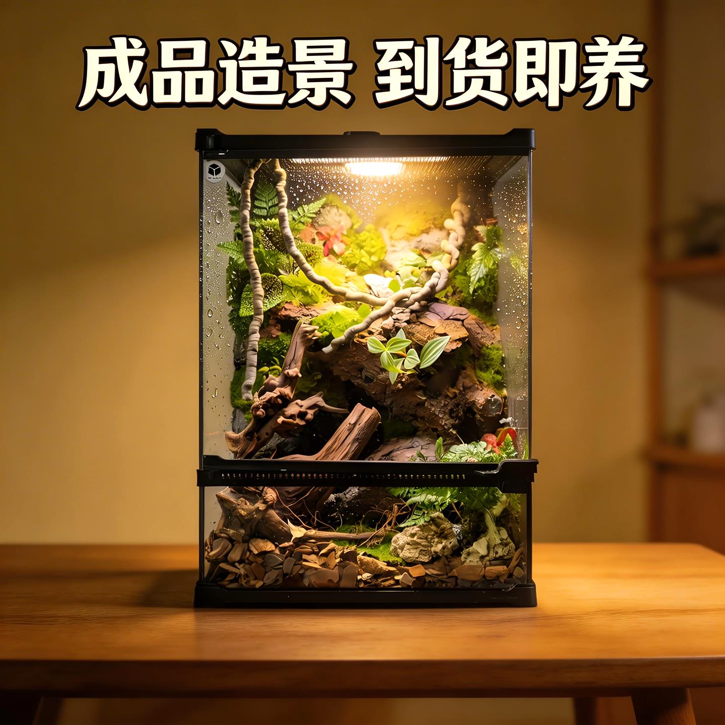 爬宠雨林生态缸造景成品前开门玻璃缸睫角缸树蛙乌龟缸饲养箱全套图片