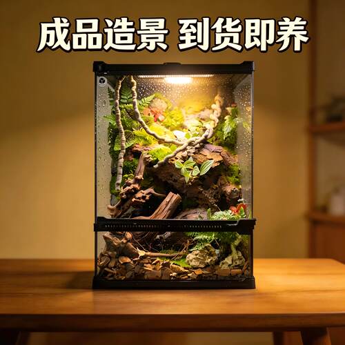 爬宠雨林生态缸造景成品前开门玻璃缸睫角缸树蛙乌龟缸饲养箱全套