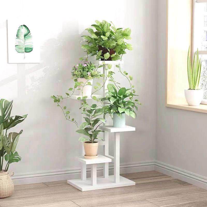 花架阳台家庭客厅花盆架绿色萝卜多肉落地花架室内多层铁花架