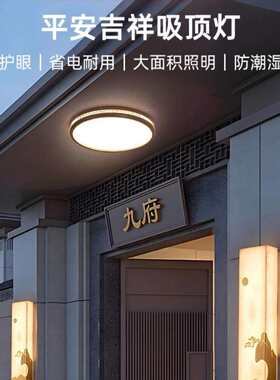 新中式大门口吸顶灯别墅入户灯门厅灯大门顶灯门楼庭院阳台照明灯