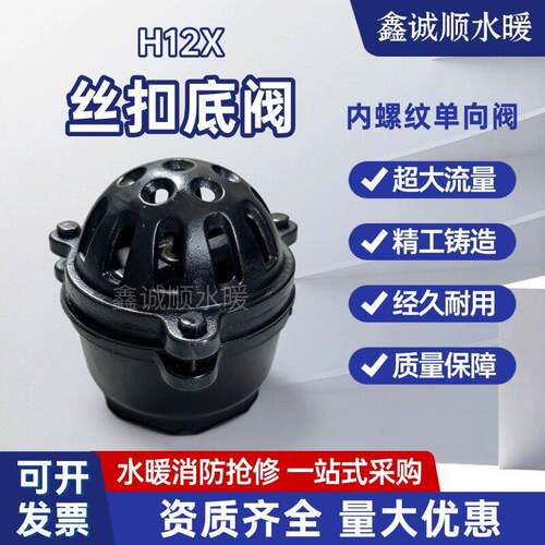 丝扣底阀 H12X铸铁螺纹水压头止回阀进水口止逆阀DN40 50 65 80