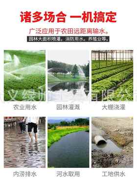 寸型汽冲油机水一小泵园林浇菜灌溉自吸泵农用RNT汽油机水泵二程