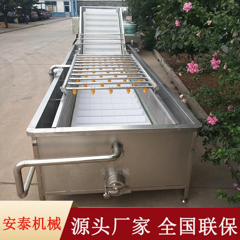 荔枝多功能气泡清洗机广东荔枝清洗分级机芒果全自动清洗分级机