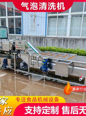商用果蔬清洗风干设备鲜辣椒清洗风干线折耳根气泡清洗风干设备