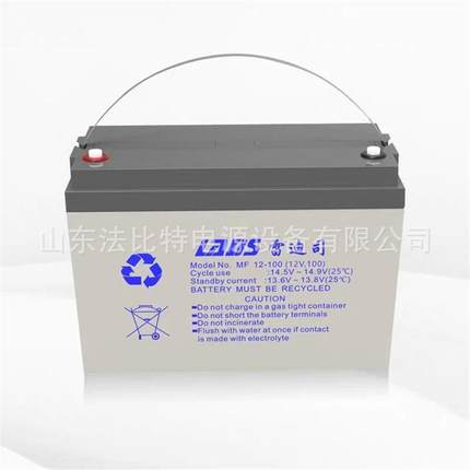 雷迪司蓄电池MF12-100铅酸12V100AH蓄电池储能太阳能电源