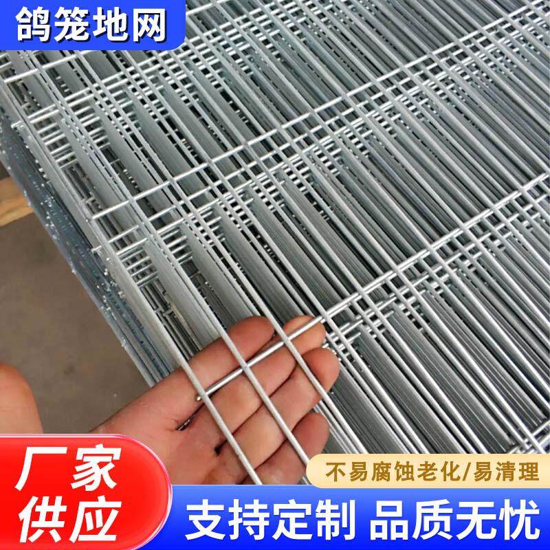 厂家供应热镀锌丝鸽笼地网漏网粪网FTS格格栅养铁小片网防腐