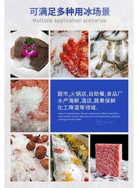 商用片冰机全自动超市火锅店自助餐小型鳞片制冰机厂家
