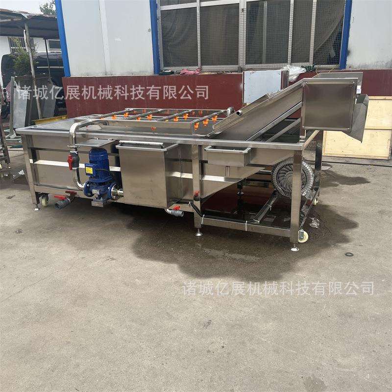 大型水果清洗设备海鲜肉类清洗机全自动果蔬气泡清洗机