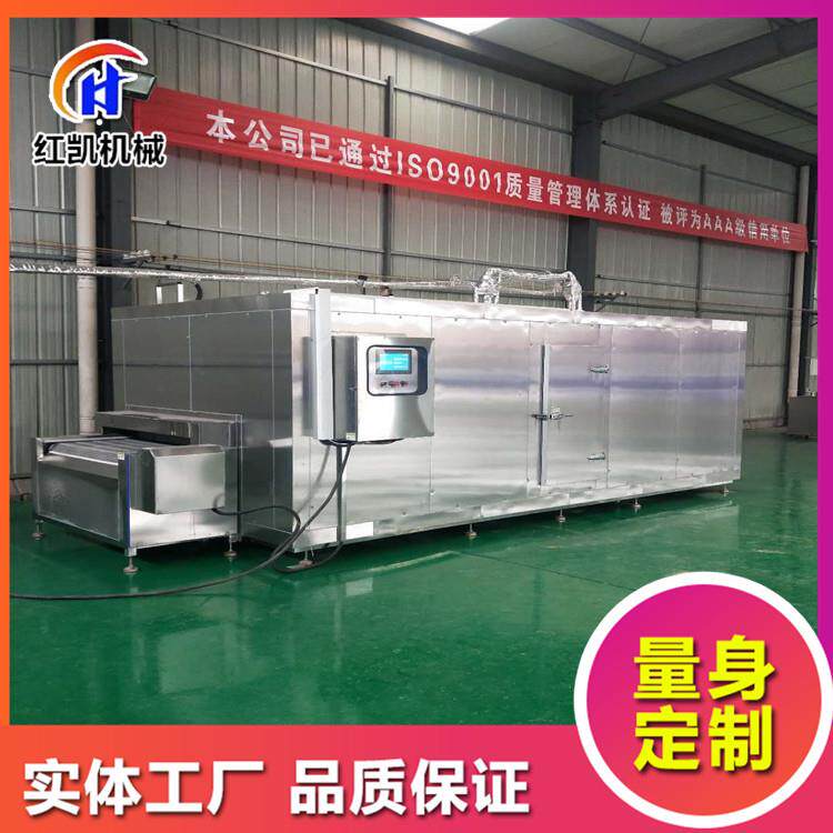 隧道式液氮速冻机流态化混合蔬菜丁速冻机各种水果丁快速速冻机