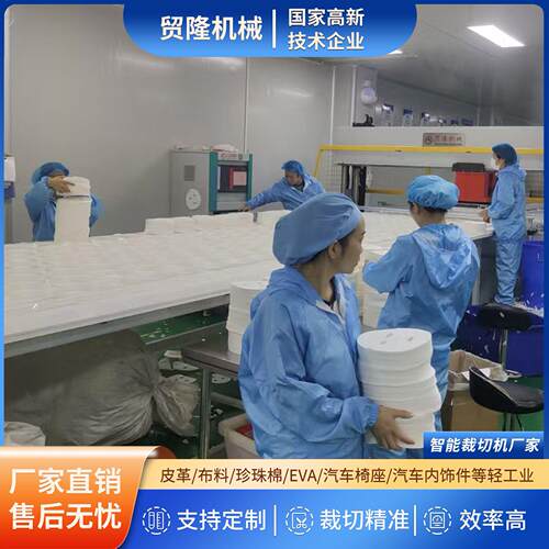 全自动电脑排版面膜布裁断机 效率 支持定制 精准裁切