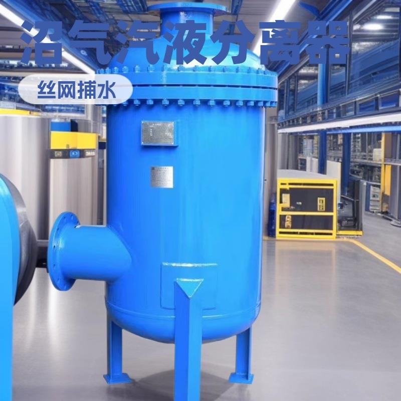 生产高效气液分离器DN100空气油水分离器设备沼气汽液分离器